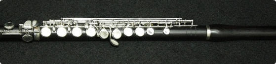 桜井Piccolo