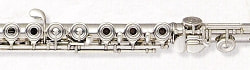 ミヤザワ フルート Type-2/タイプ2