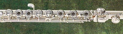 パウエルフルート　2100