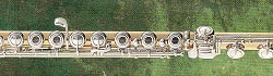パウエルフルート　3100