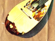 No.16　カラーチェ