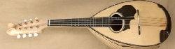 スズキ M-100
