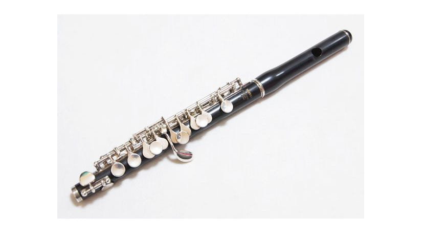 YAMAHA YPC81