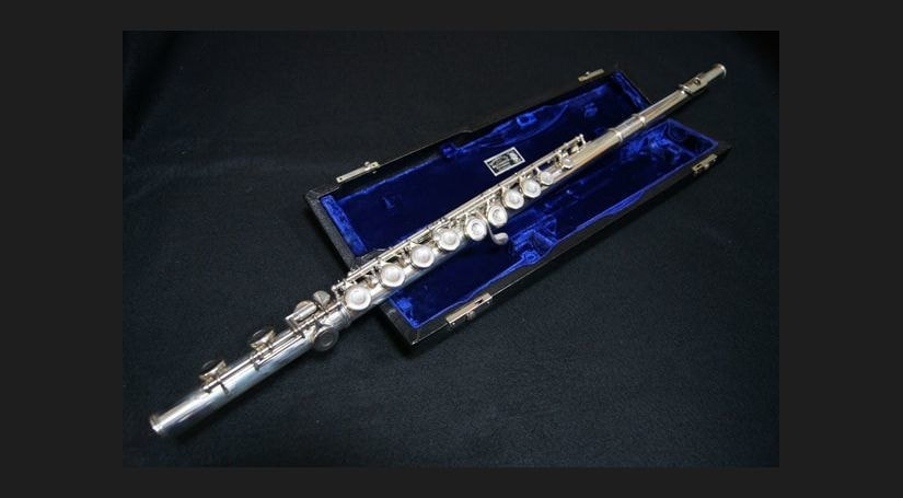 ヘインズフルート レギュラー