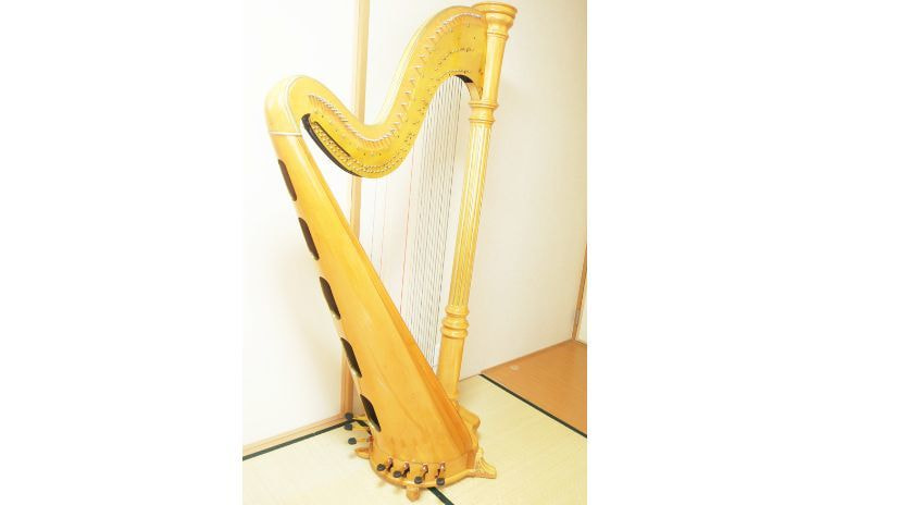 青山ハープ47Bデルフィ